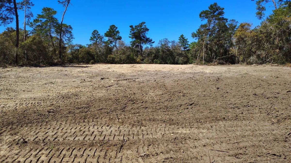 Cleared and graded sand building site with fresh equipment tracks and a pine tree line near Ocala, Florida